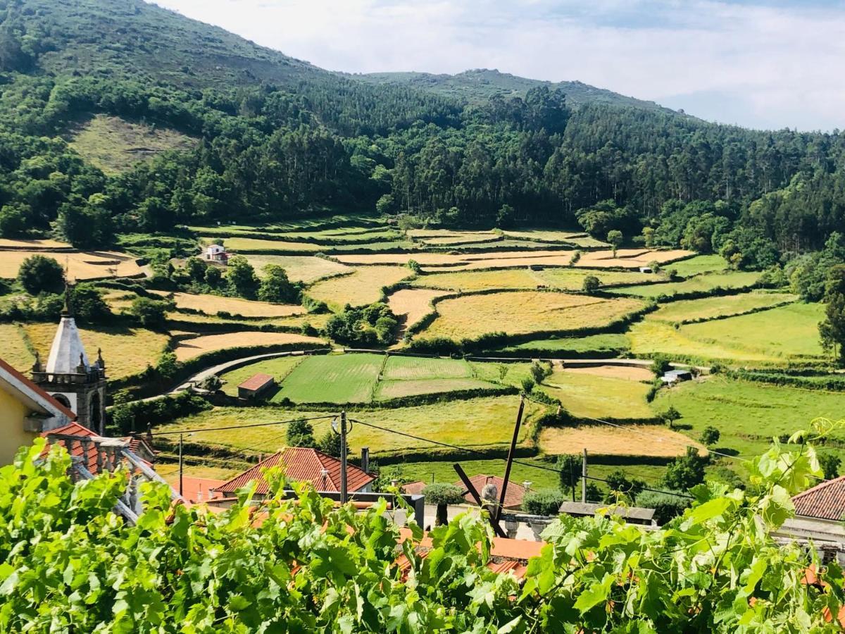 Casa De Labrujo - Circuito Aldeias De Portugal Villa Ponte de Lima Ngoại thất bức ảnh